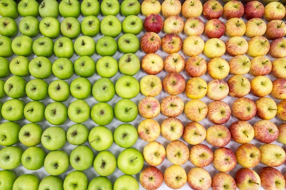 SME profile: Healthy returns for Dubai fresh fruit delivery service